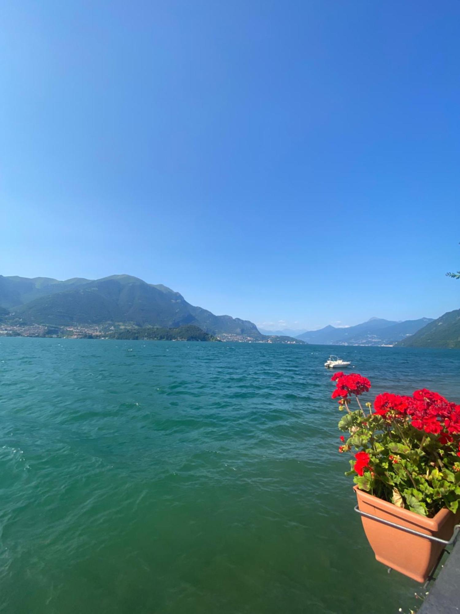 Peonia Apartment - Appartamento Vista Lago Lezzeno Eksteriør billede