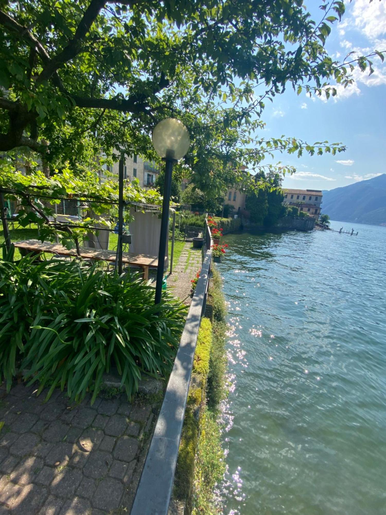 Peonia Apartment - Appartamento Vista Lago Lezzeno Eksteriør billede