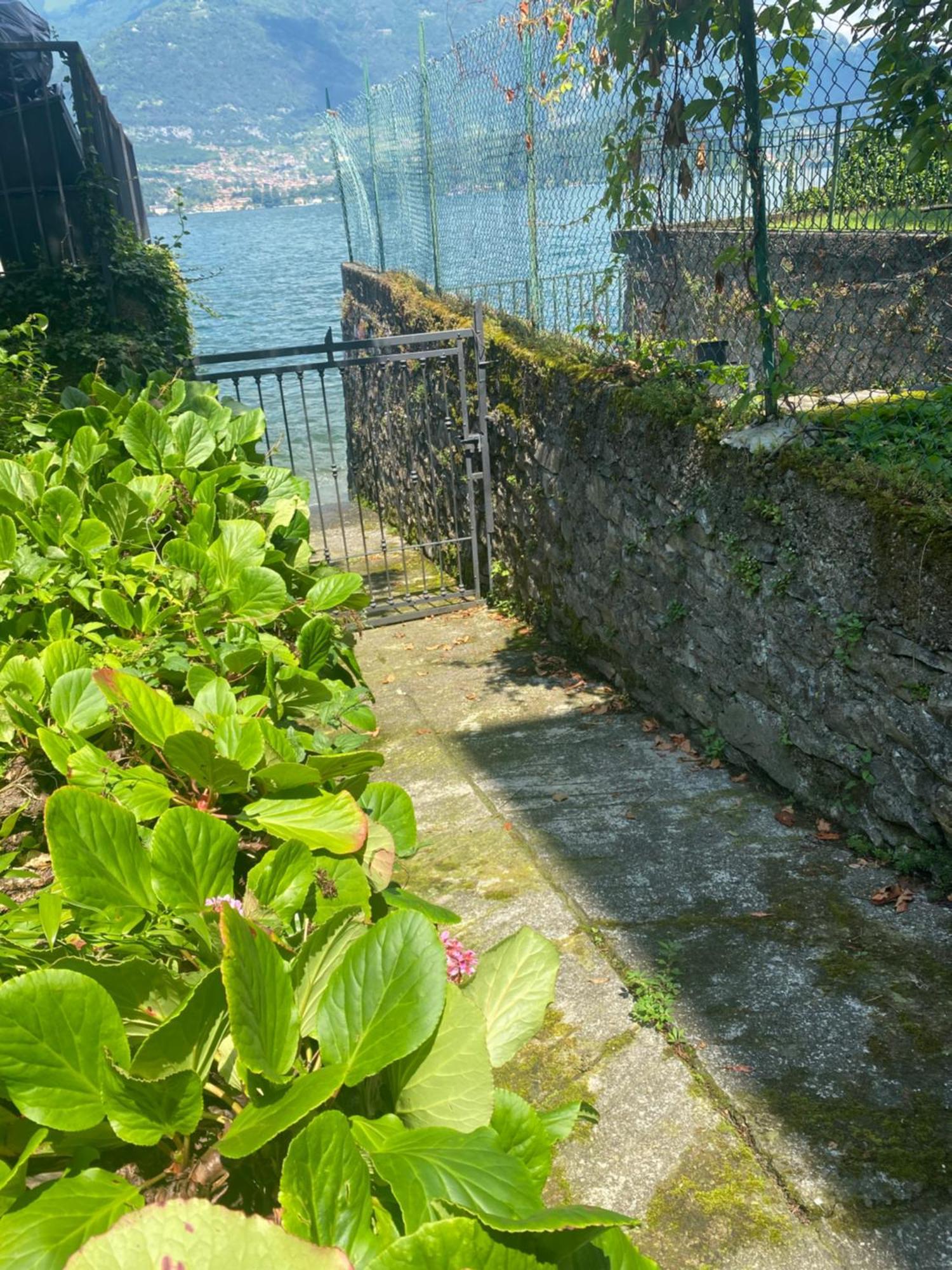 Peonia Apartment - Appartamento Vista Lago Lezzeno Eksteriør billede