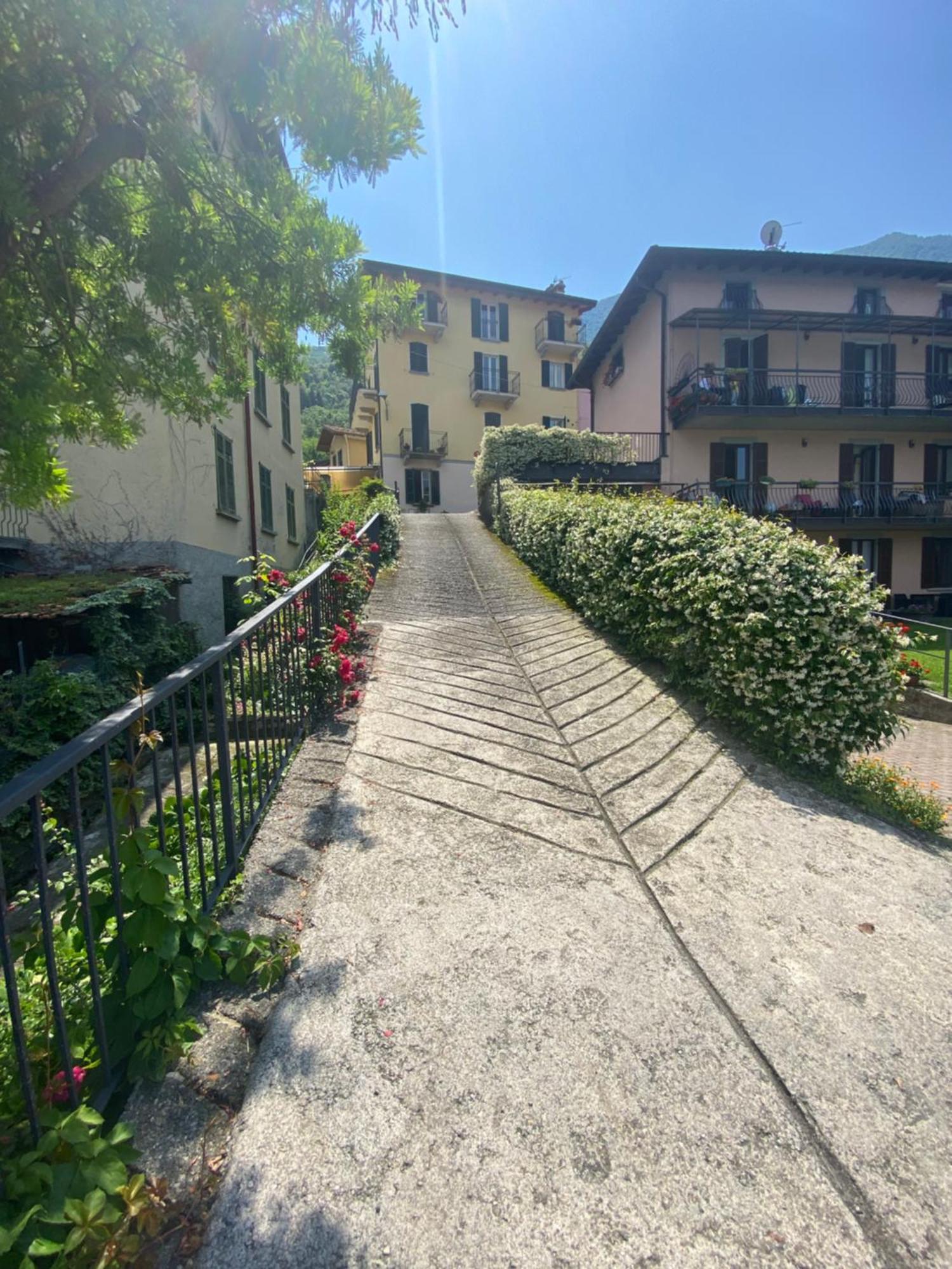 Peonia Apartment - Appartamento Vista Lago Lezzeno Eksteriør billede