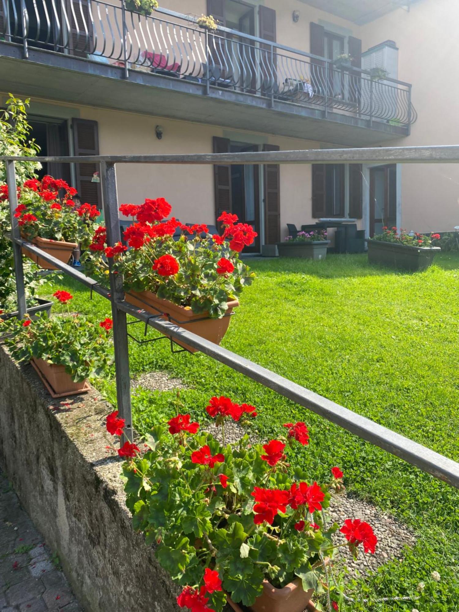 Peonia Apartment - Appartamento Vista Lago Lezzeno Eksteriør billede