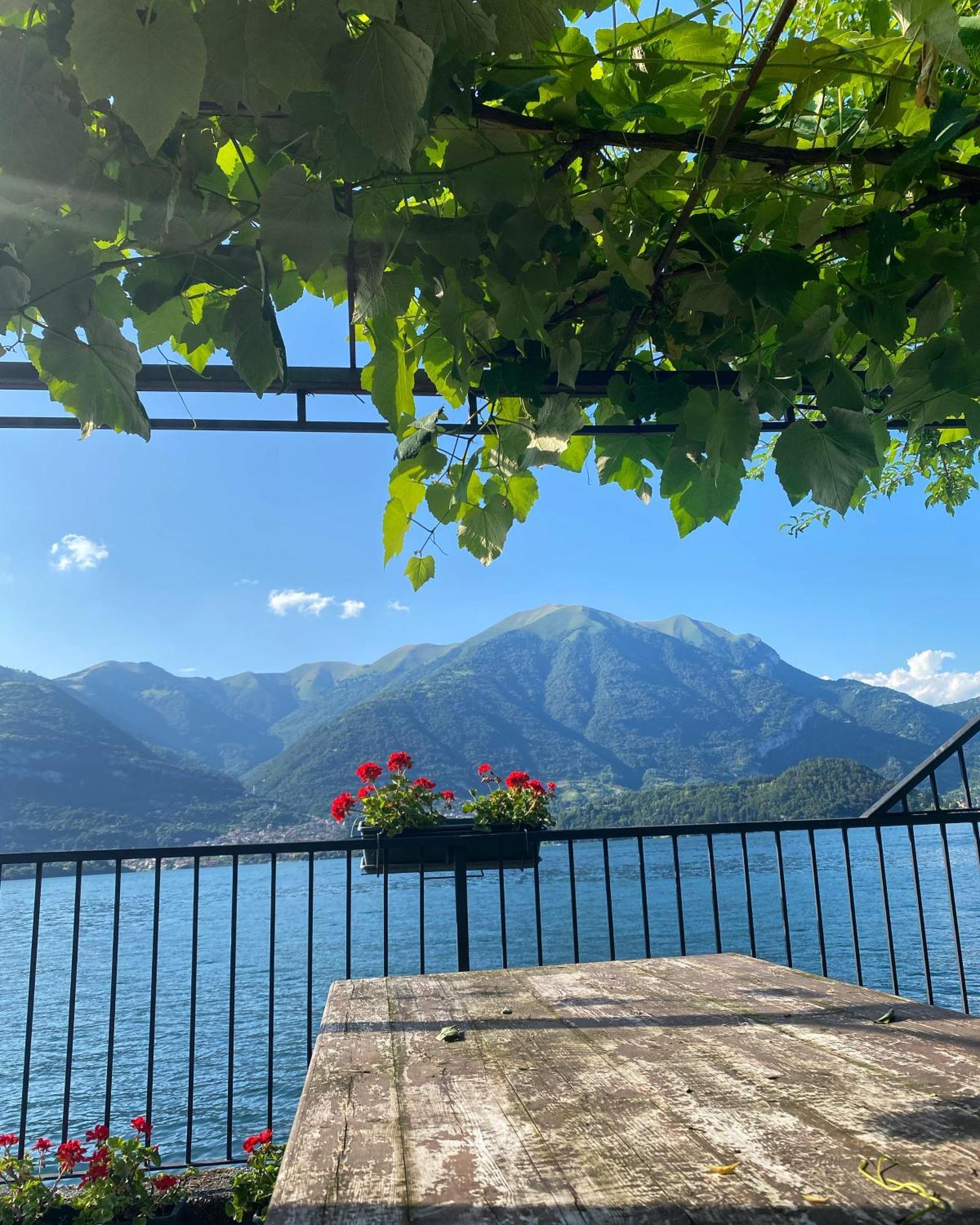 Peonia Apartment - Appartamento Vista Lago Lezzeno Eksteriør billede