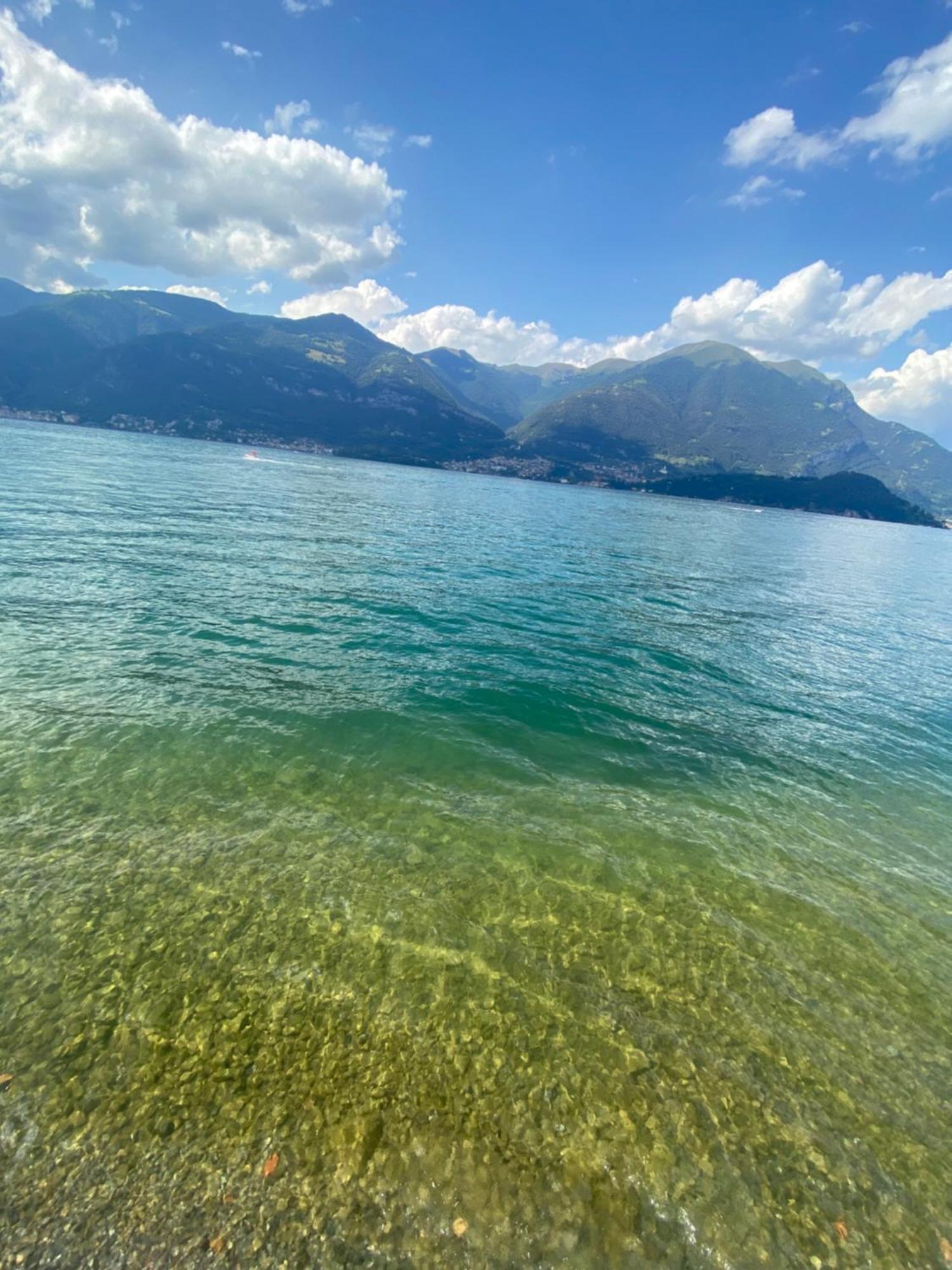 Peonia Apartment - Appartamento Vista Lago Lezzeno Eksteriør billede