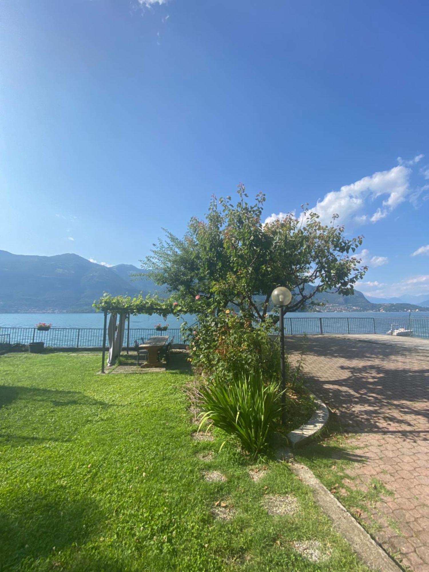 Peonia Apartment - Appartamento Vista Lago Lezzeno Eksteriør billede