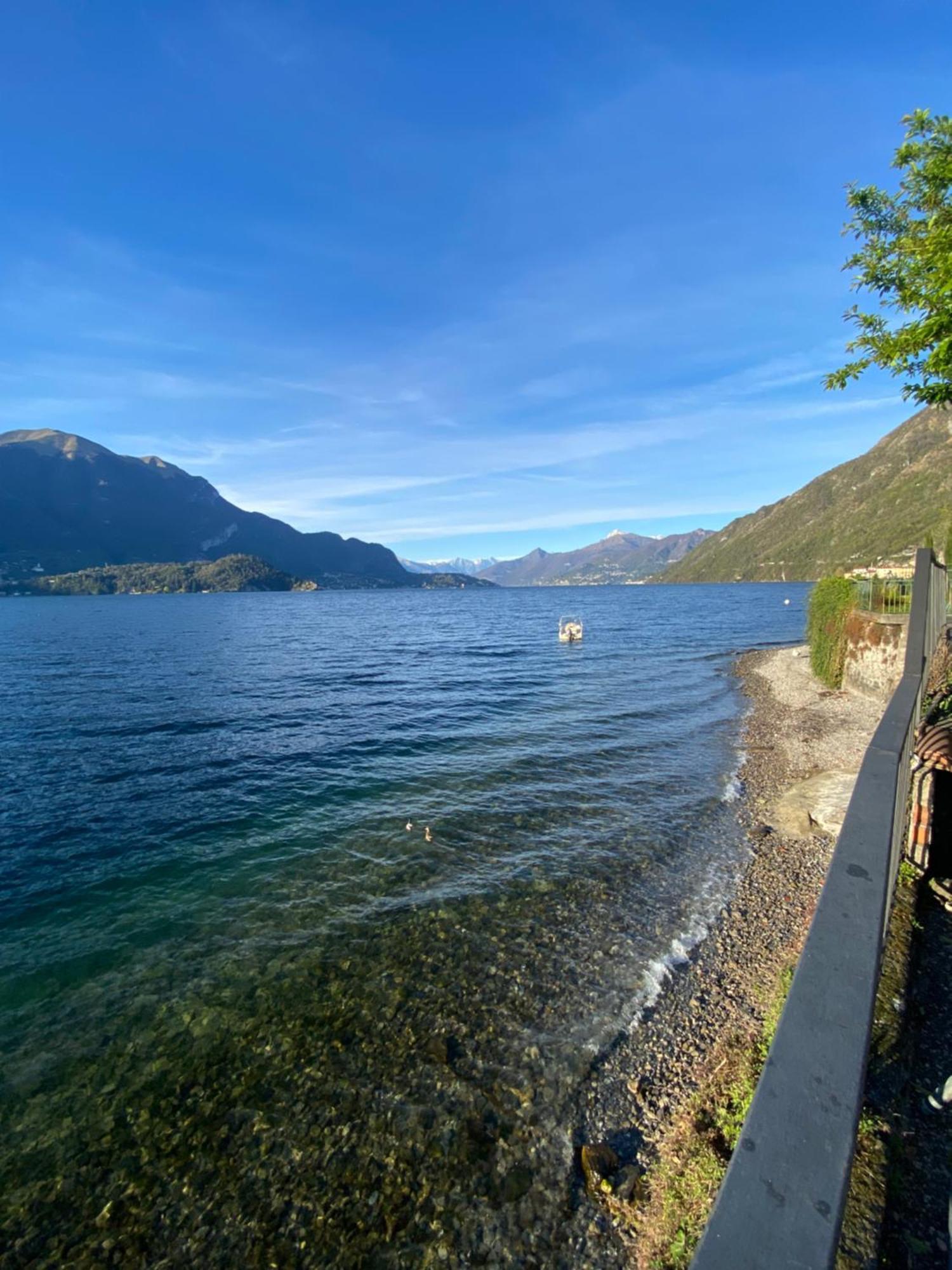 Peonia Apartment - Appartamento Vista Lago Lezzeno Eksteriør billede