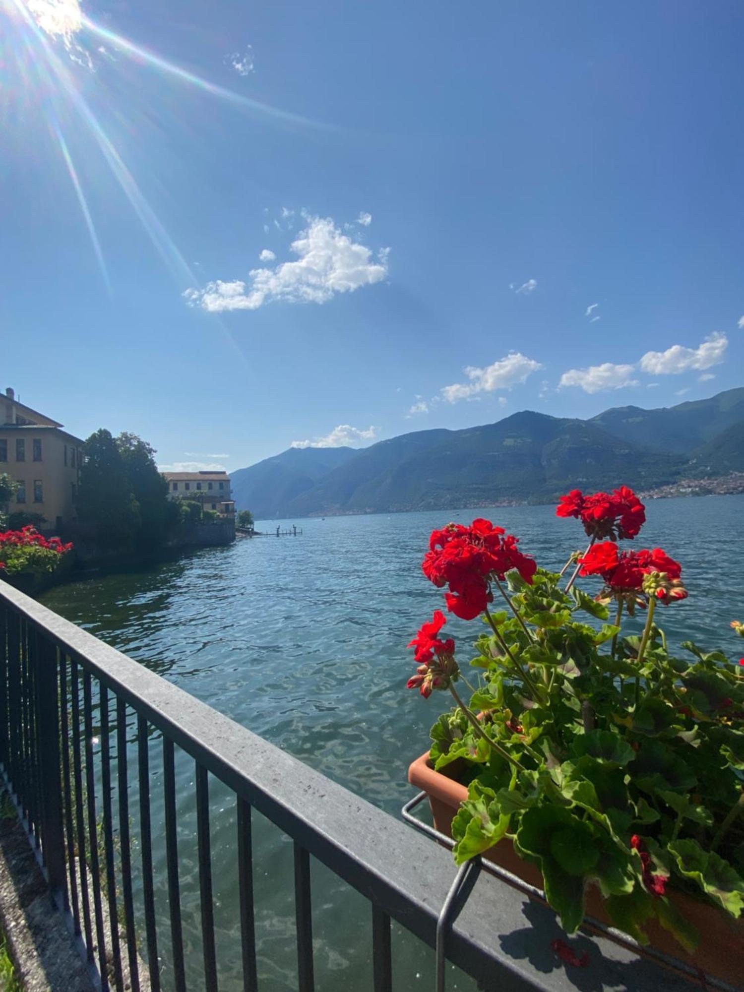 Peonia Apartment - Appartamento Vista Lago Lezzeno Eksteriør billede
