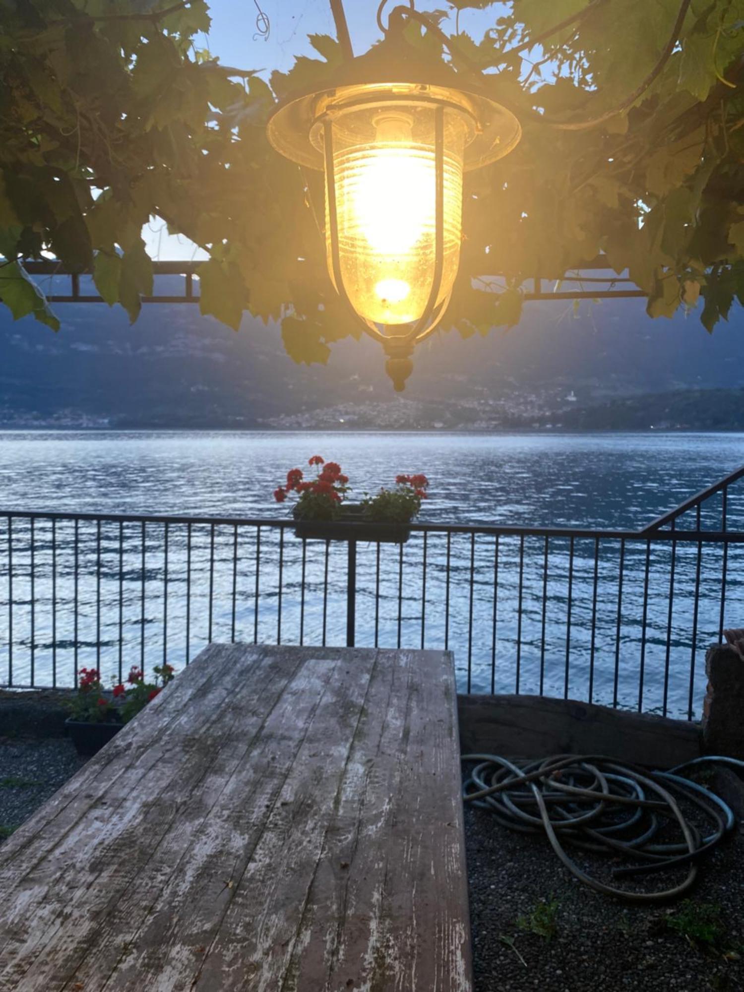 Peonia Apartment - Appartamento Vista Lago Lezzeno Eksteriør billede
