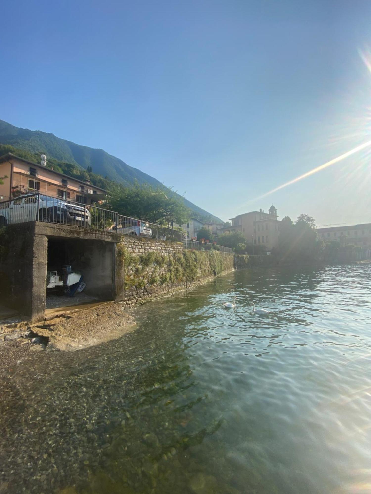 Peonia Apartment - Appartamento Vista Lago Lezzeno Eksteriør billede